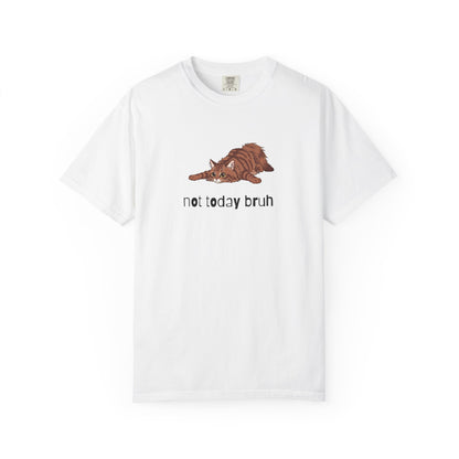 Long hair brown tabby cat Not Today Bruh T-Shirt