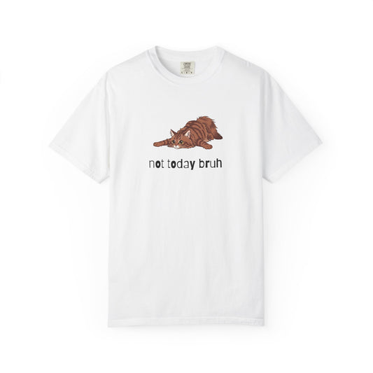 Long hair brown tabby cat Not Today Bruh T-Shirt