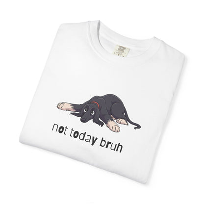 Afghan Hound Not Today Bruh T-Shirt