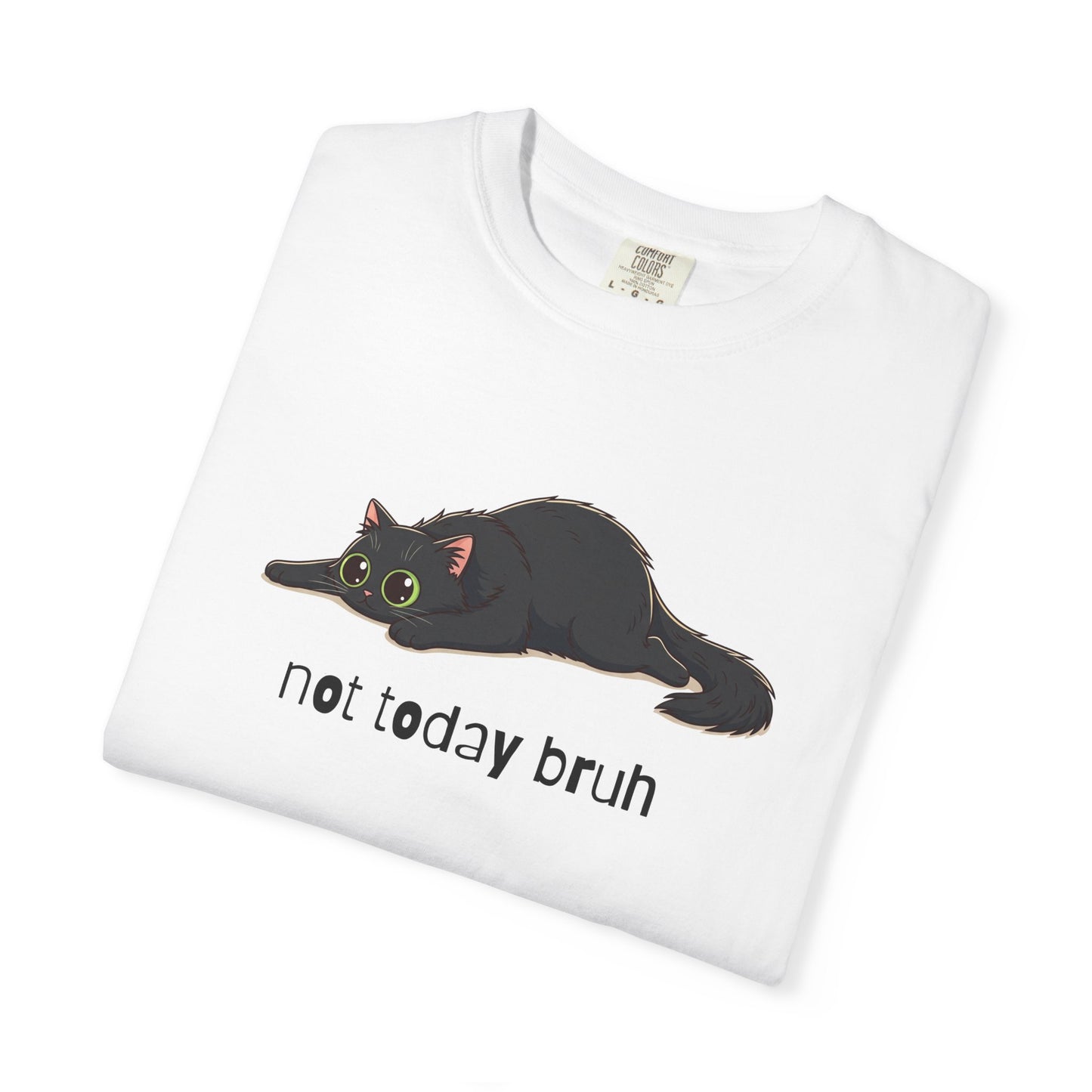 Long hair black cat Not Today Bruh T-Shirt
