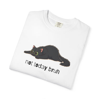 Long hair black cat Not Today Bruh T-Shirt