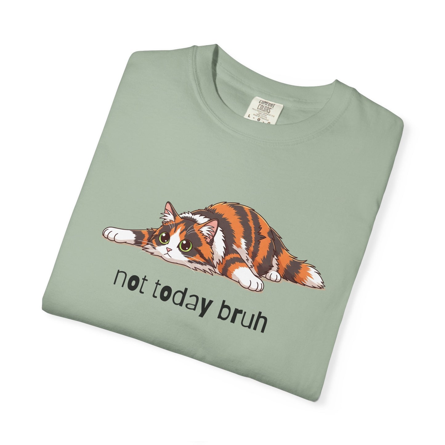 Long hair tortoiseshell cat Not Today Bruh T-Shirt