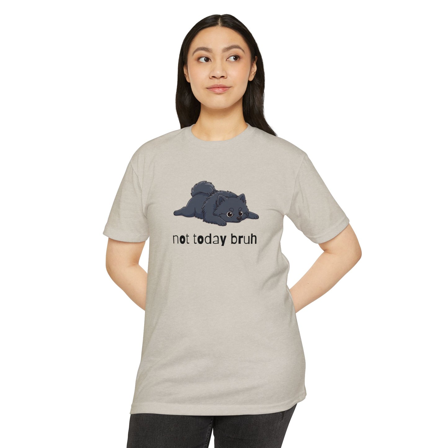 Pomeranian "Not Today" Relaxed Tee | Gift for Pet Lovers