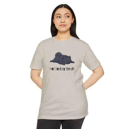 Pomeranian "Not Today" Relaxed Tee | Gift for Pet Lovers