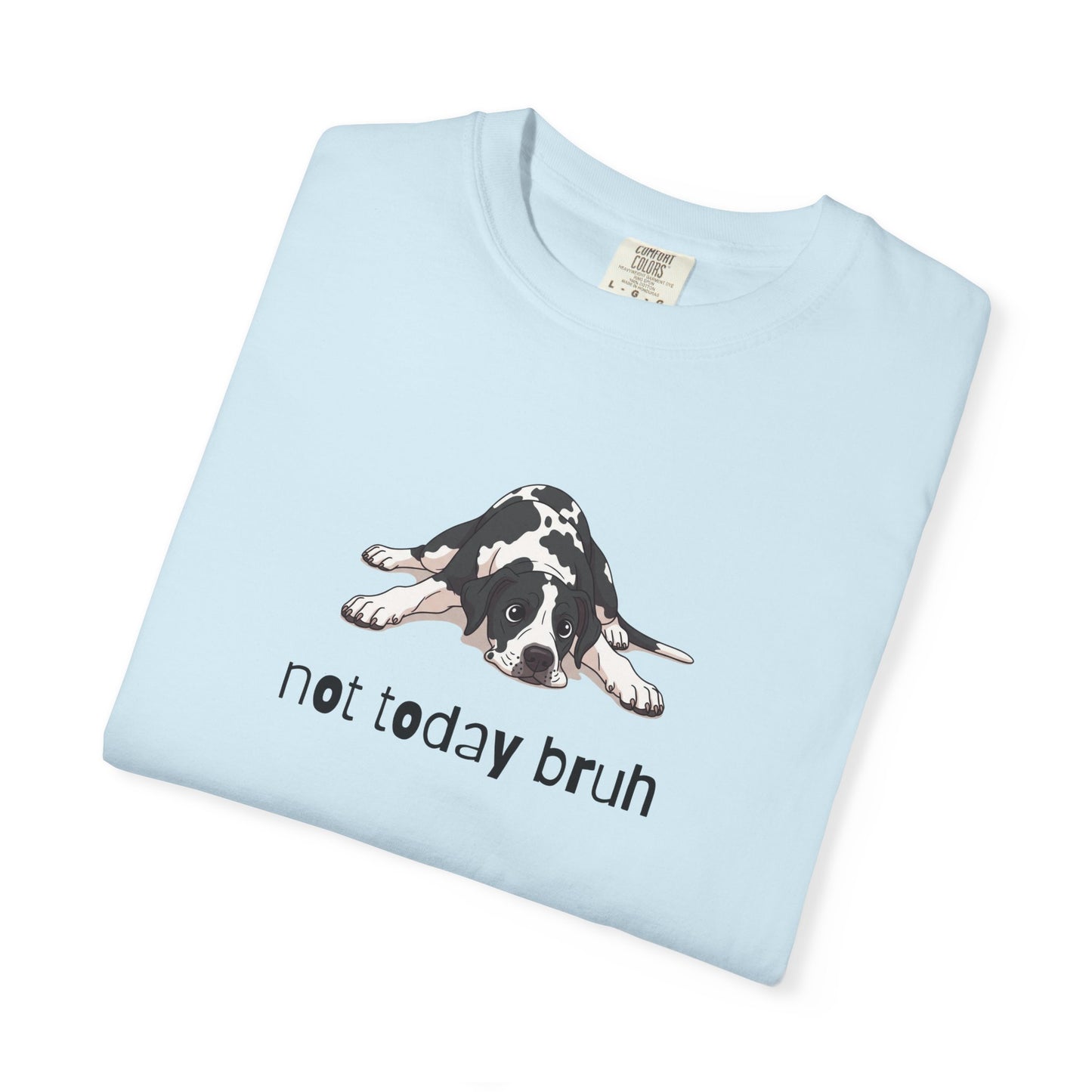 Great Dane Not Today Bruh T-Shirt