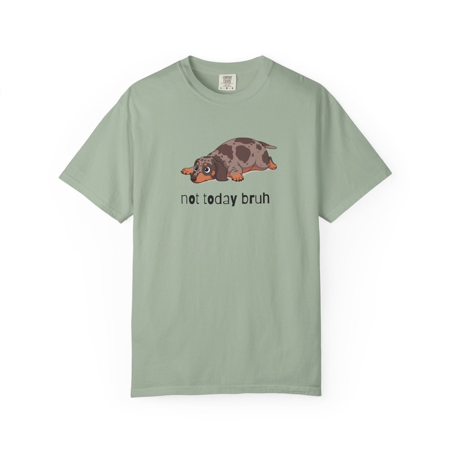 Dacshund Not Today Bruh T-Shirt