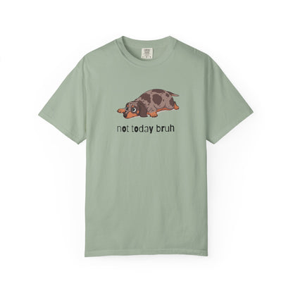 Dacshund Not Today Bruh T-Shirt