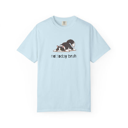 Long hair tuxedo cat Not Today Bruh T-Shirt
