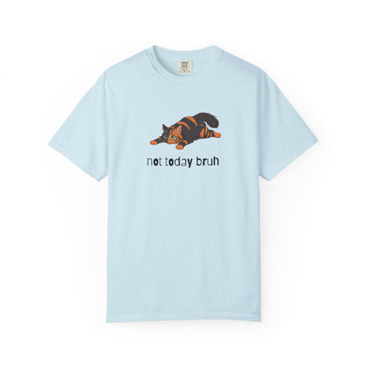 Long hair chimera cat Not Today Bruh T-Shirt