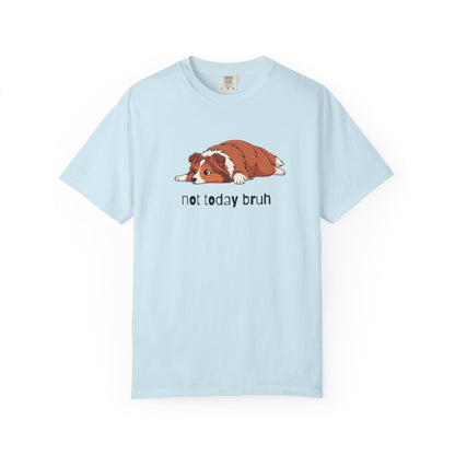 Sheltie Not Today Bruh T-Shirt