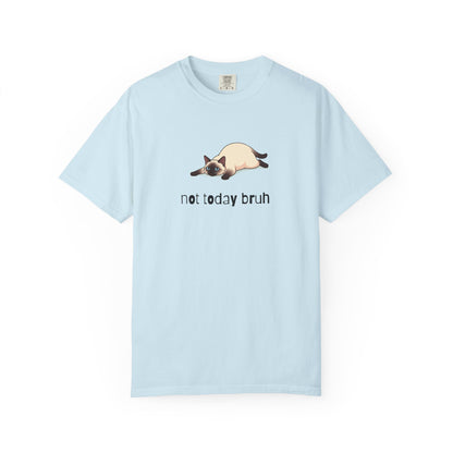 Siamese Not Today Bruh T-Shirt
