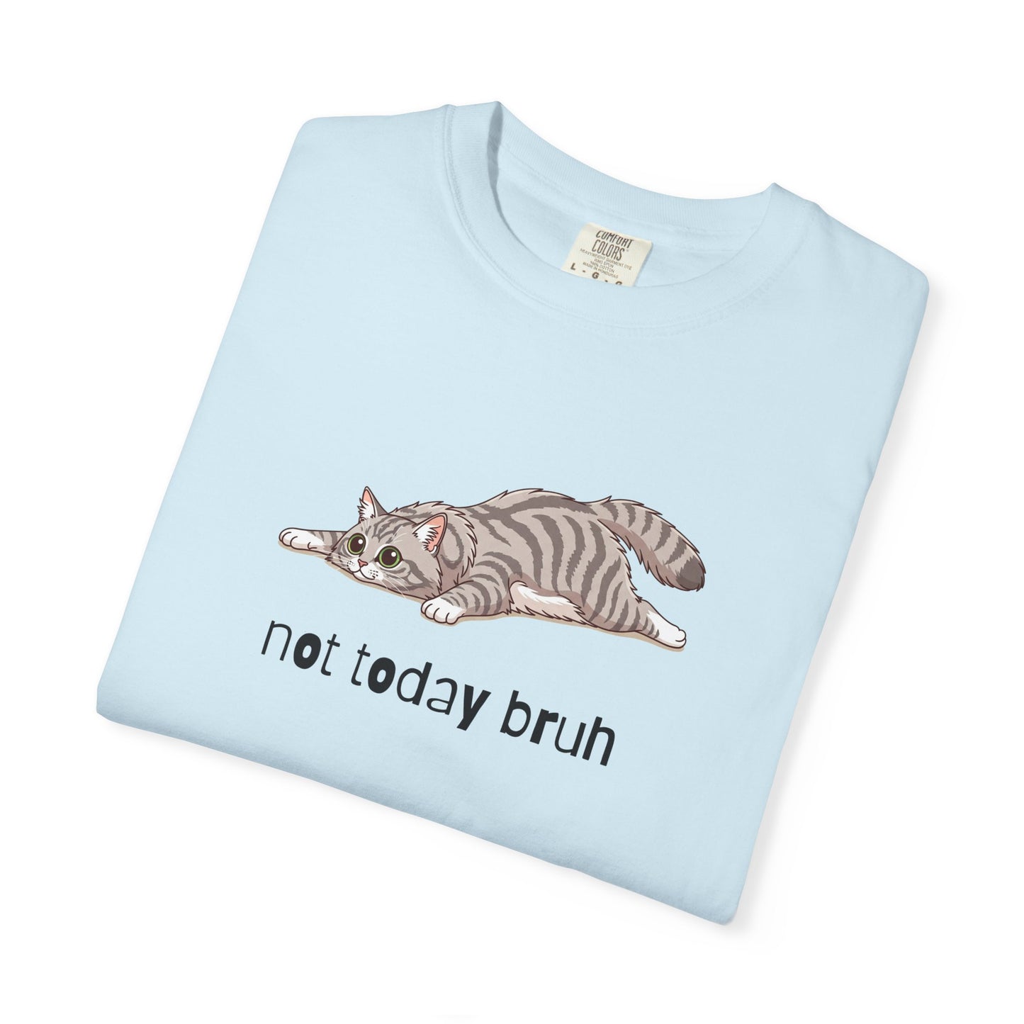Long hair silver tabby cat Not Today Bruh T-Shirt