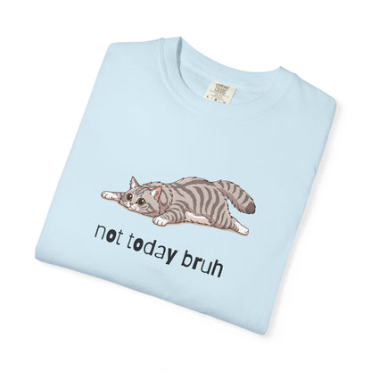 Long hair silver tabby cat Not Today Bruh T-Shirt