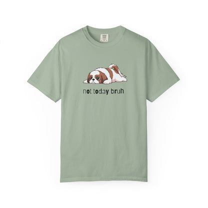 Shih Tzu Not Today Bruh T-Shirt
