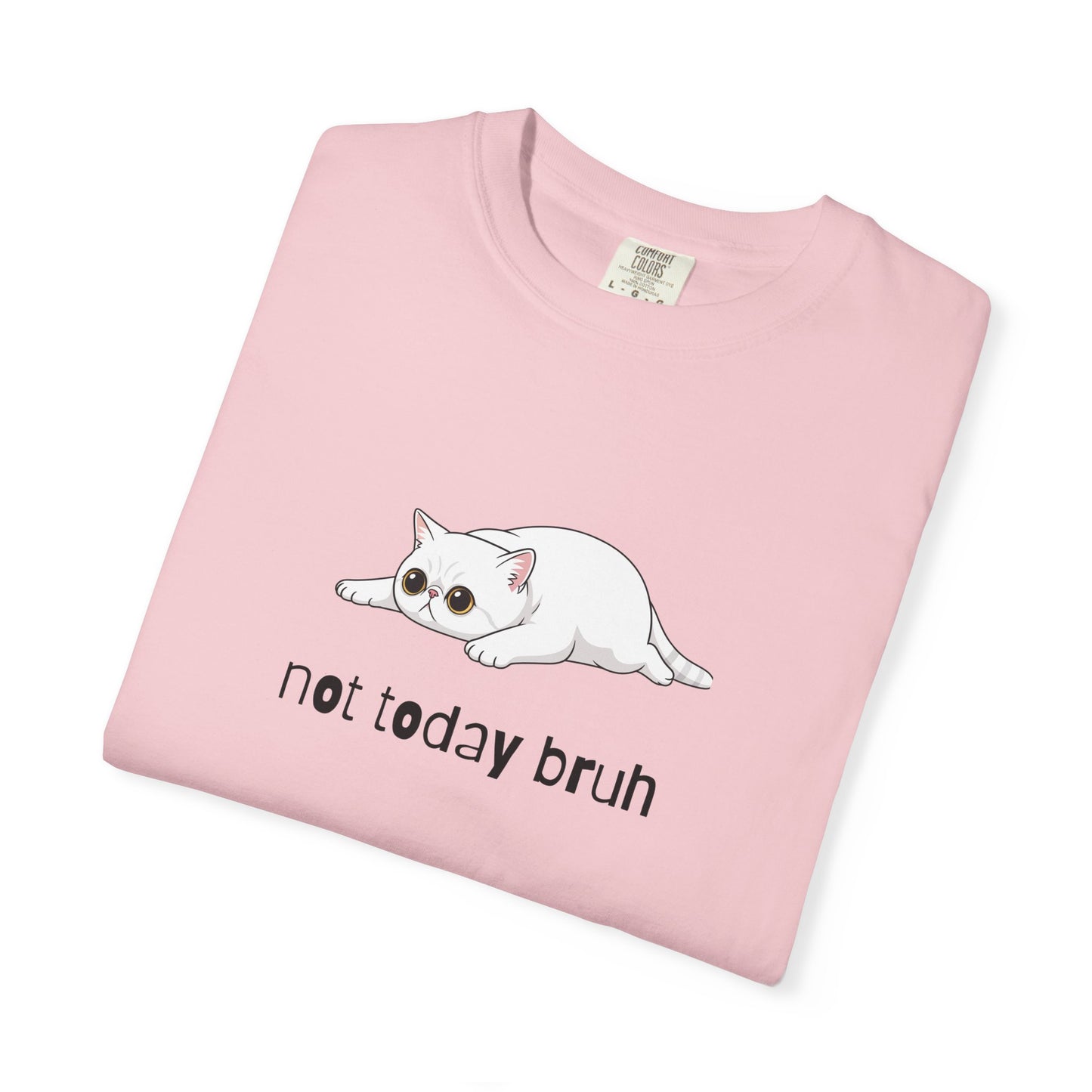 Exotic Shorthair Not Today Bruh T-Shirt