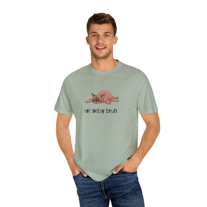 Short hair brown cat Not Today Bruh T-Shirt