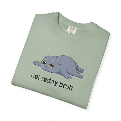 Scottish Fold Not Today Bruh T-Shirt