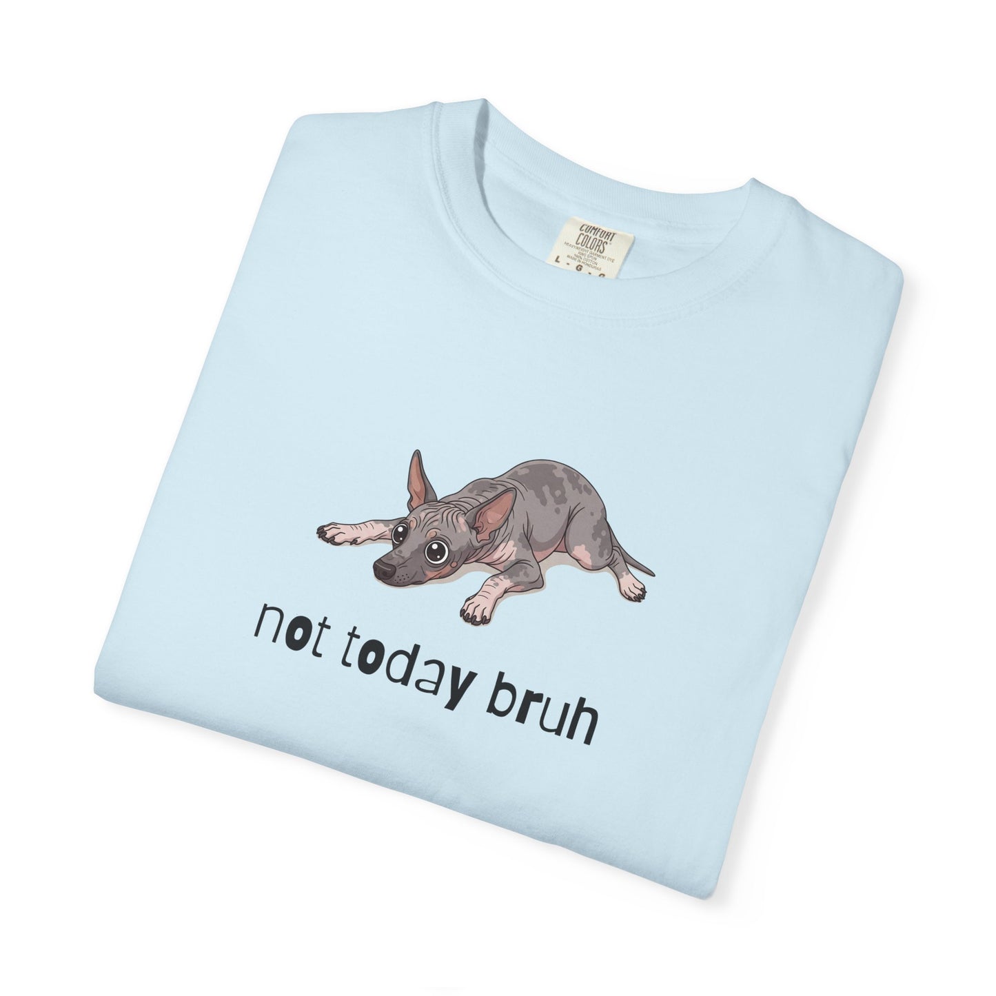 Hairless Dog Not Today Bruh T-Shirt