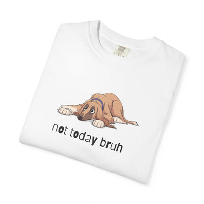 Afghan Hound Not Today Bruh T-Shirt