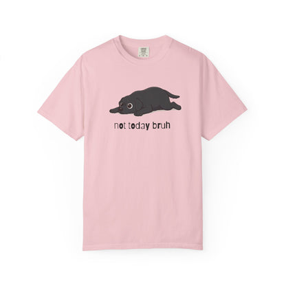 Labrador Not Today Bruh T-Shirt