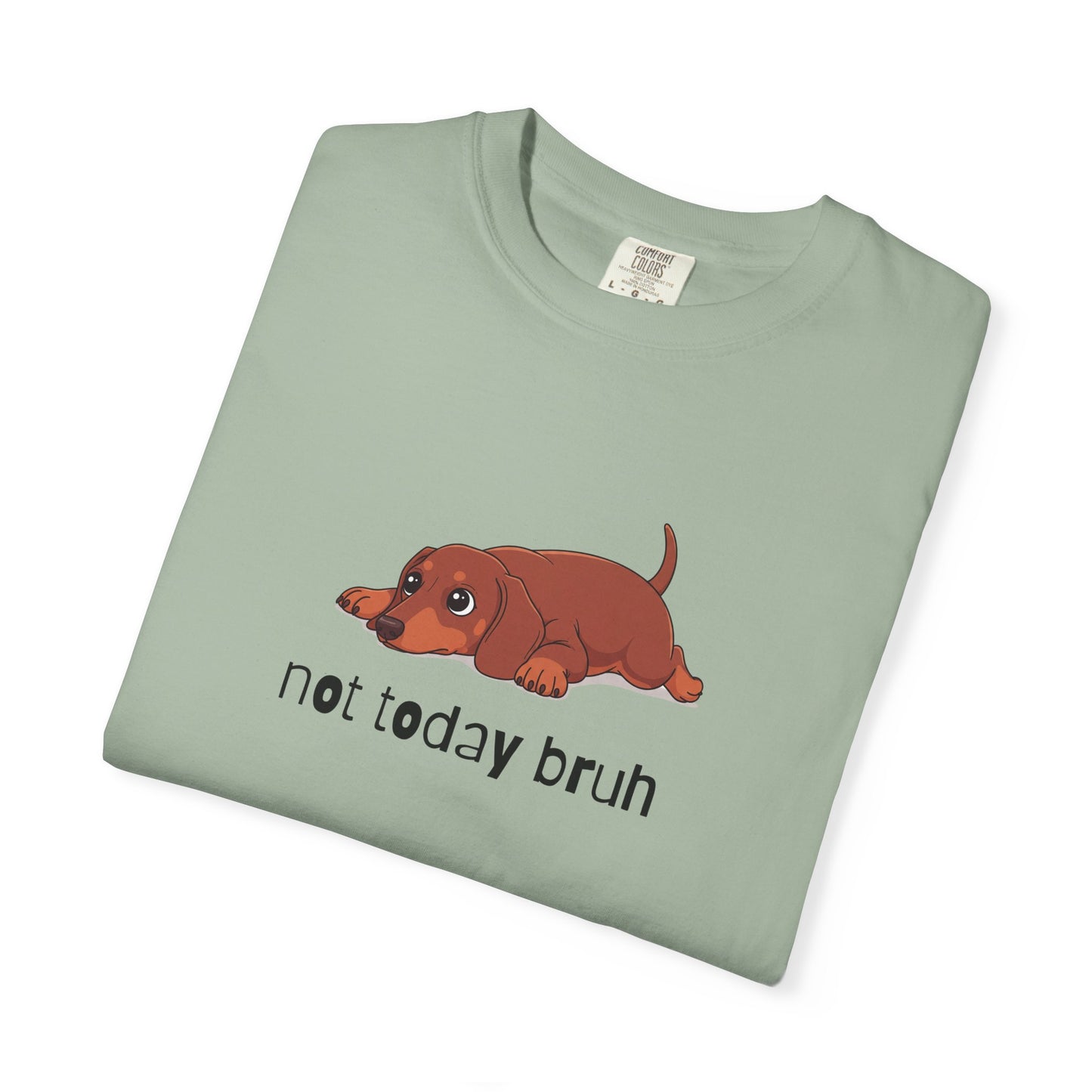 Dacshund Not Today Bruh T-Shirt