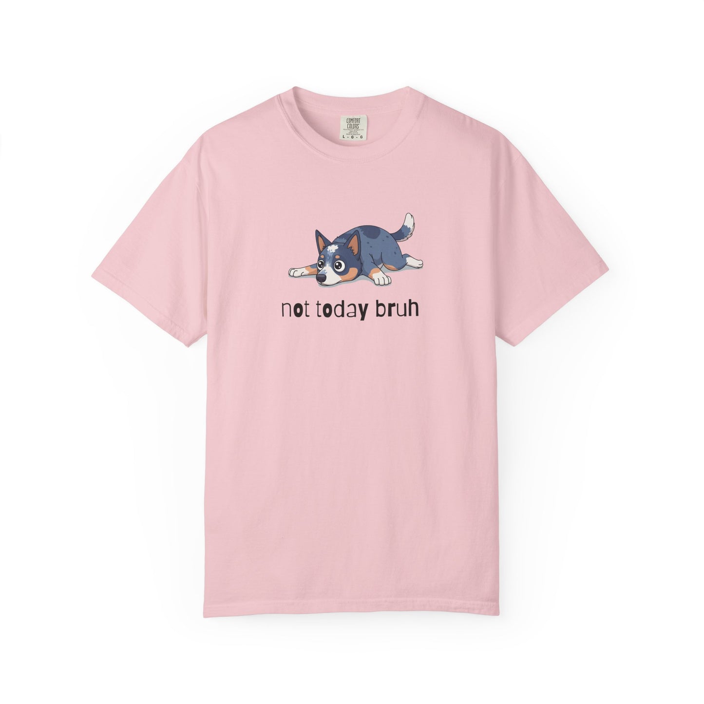 Blue Heeler Not Today Bruh T-Shirt