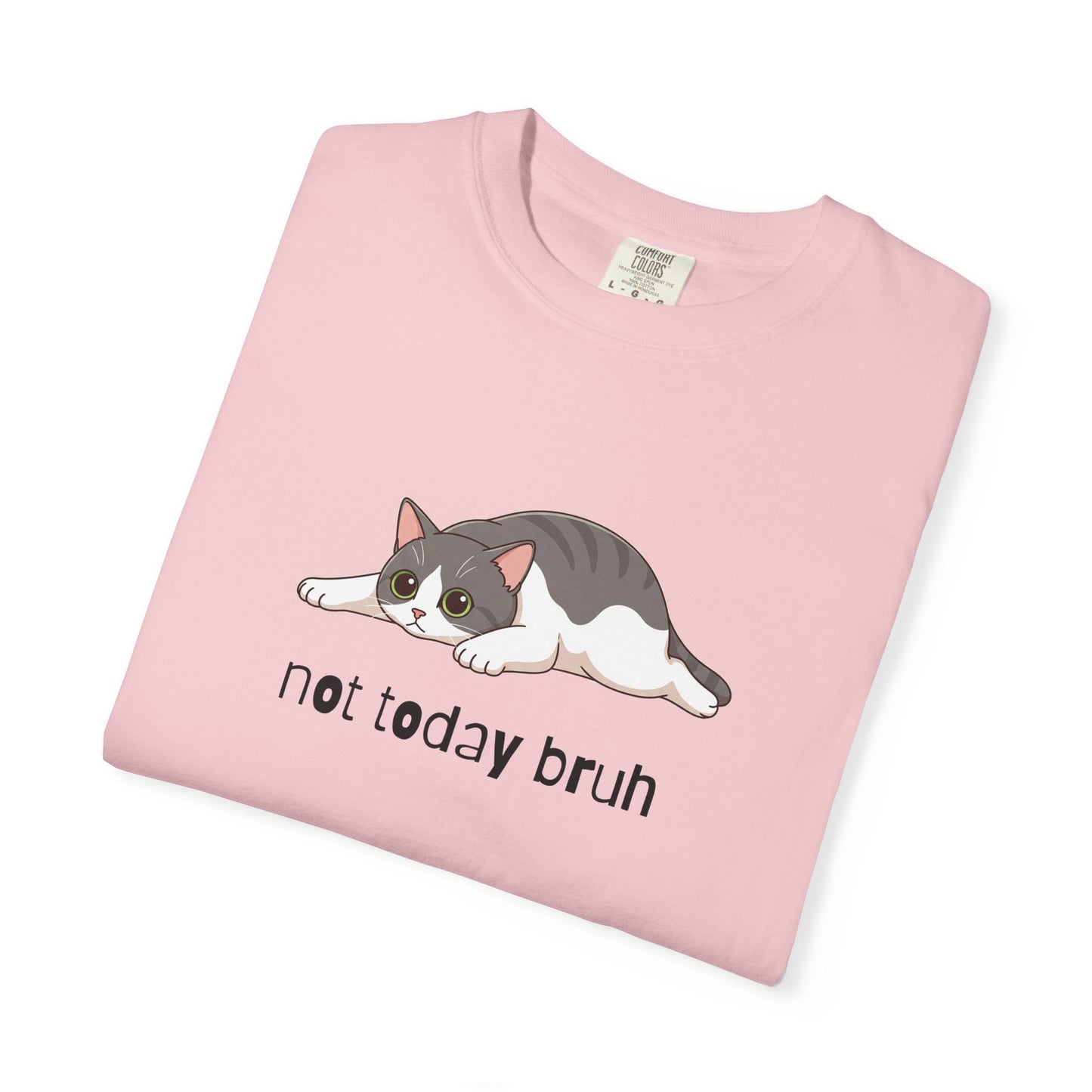 Short hair bi-color gray cat Not Today Bruh T-Shirt