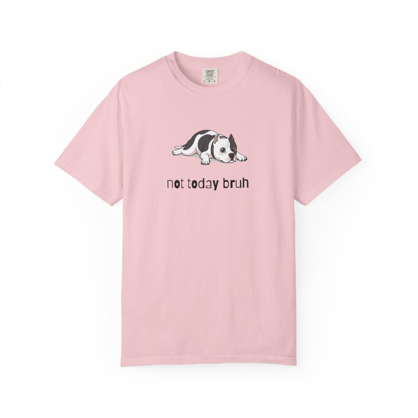 Pitbull Not Today Bruh T-Shirt
