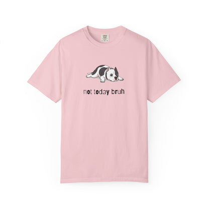 Pitbull Not Today Bruh T-Shirt