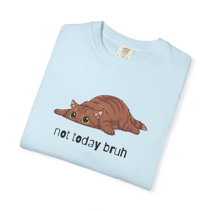 Long hair brown cat Not Today Bruh T-Shirt