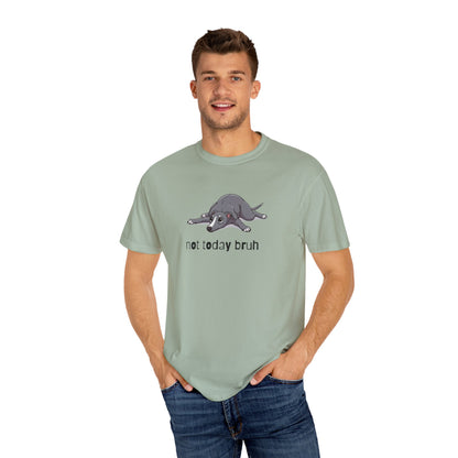 Greyhound Not Today Bruh T-Shirt
