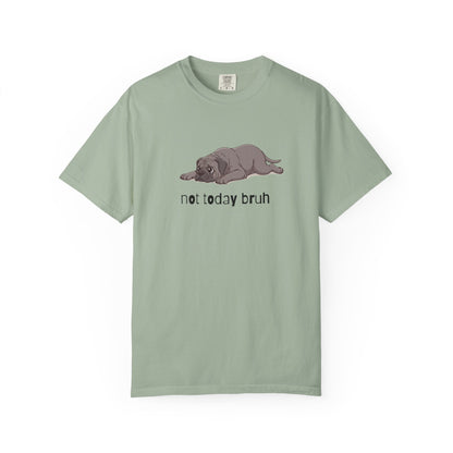 Mastiff Not Today Bruh T-Shirt