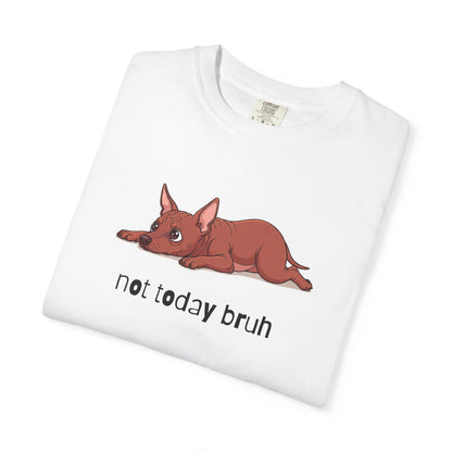 Hairless Dog Not Today Bruh T-Shirt