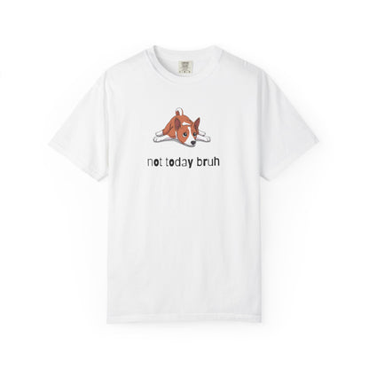 Basenji Not Today Bruh T-Shirt