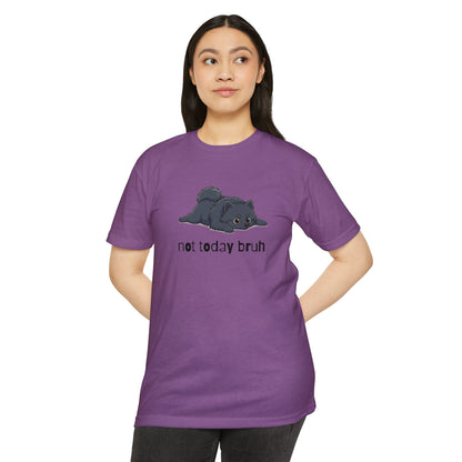 Pomeranian "Not Today" Relaxed Tee | Gift for Pet Lovers