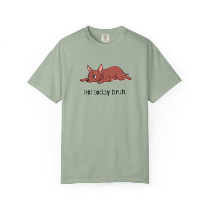 Hairless Dog Not Today Bruh T-Shirt