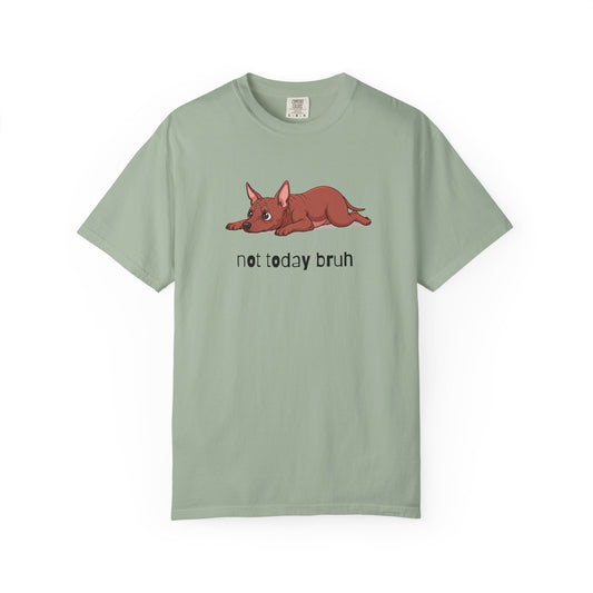 Hairless Dog Not Today Bruh T-Shirt