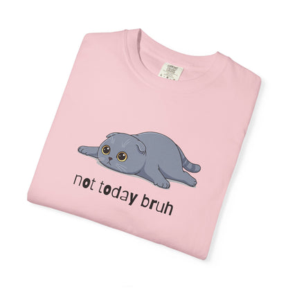 Scottish Fold Not Today Bruh T-Shirt