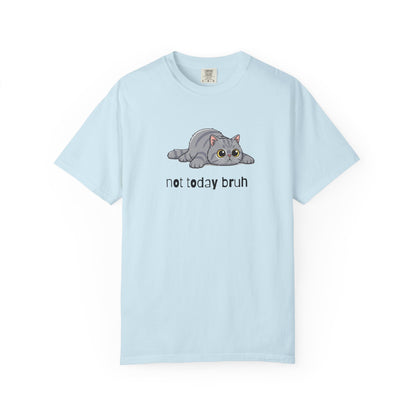 Persian Not Today Bruh T-Shirt