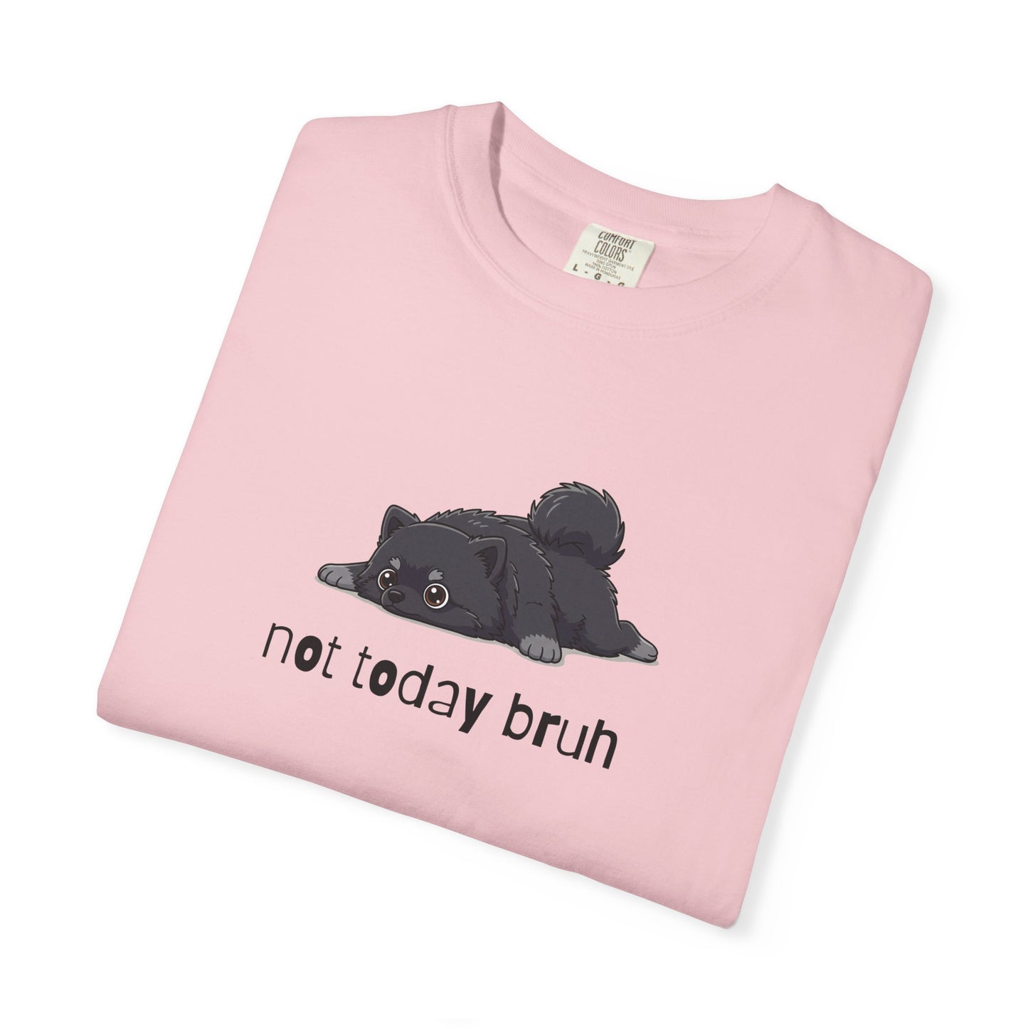 Pomeranian Not Today Bruh T-Shirt