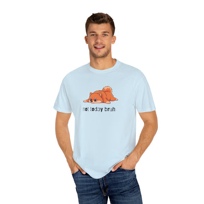 Pomeranian Not Today Bruh T-Shirt