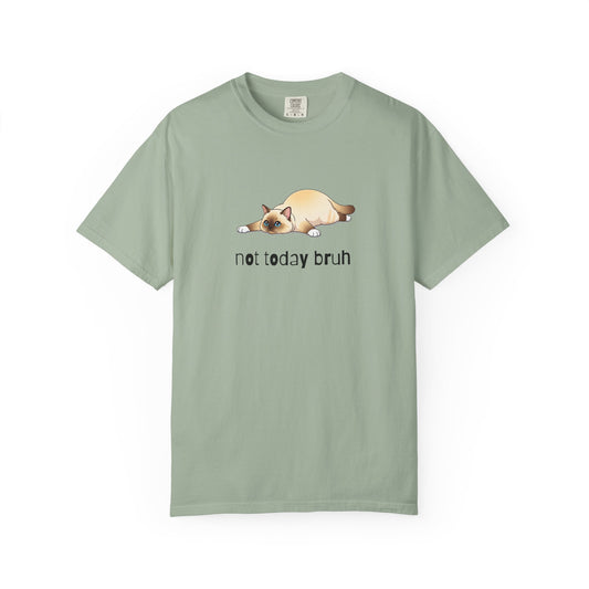 Siamese Not Today Bruh T-Shirt