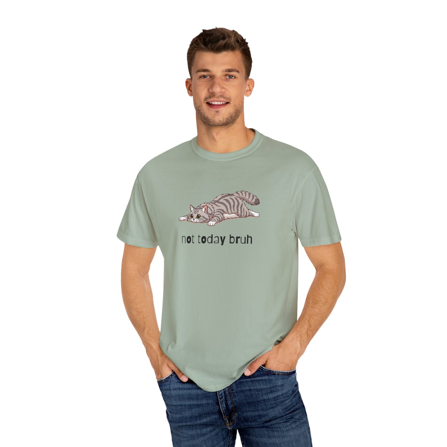 Long hair silver tabby cat Not Today Bruh T-Shirt