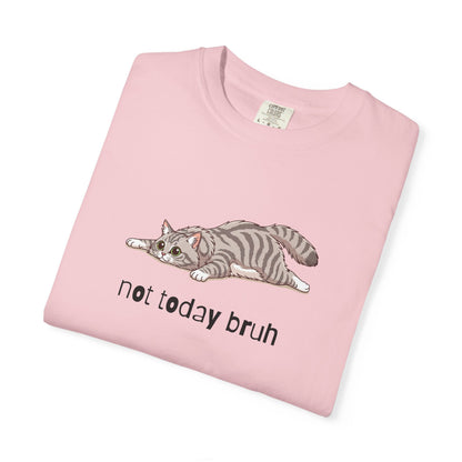 Long hair silver tabby cat Not Today Bruh T-Shirt