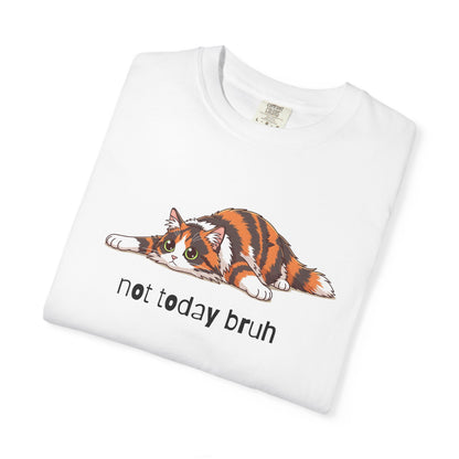 Long hair tortoiseshell cat Not Today Bruh T-Shirt