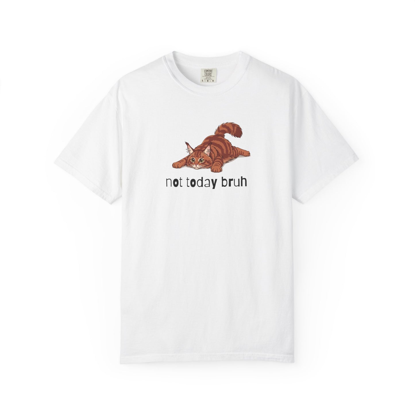 Maine Coon Not Today Bruh T-Shirt