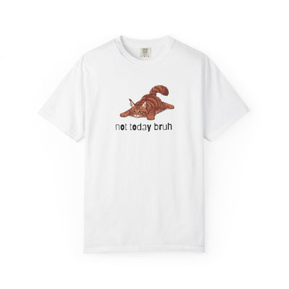Maine Coon Not Today Bruh T-Shirt