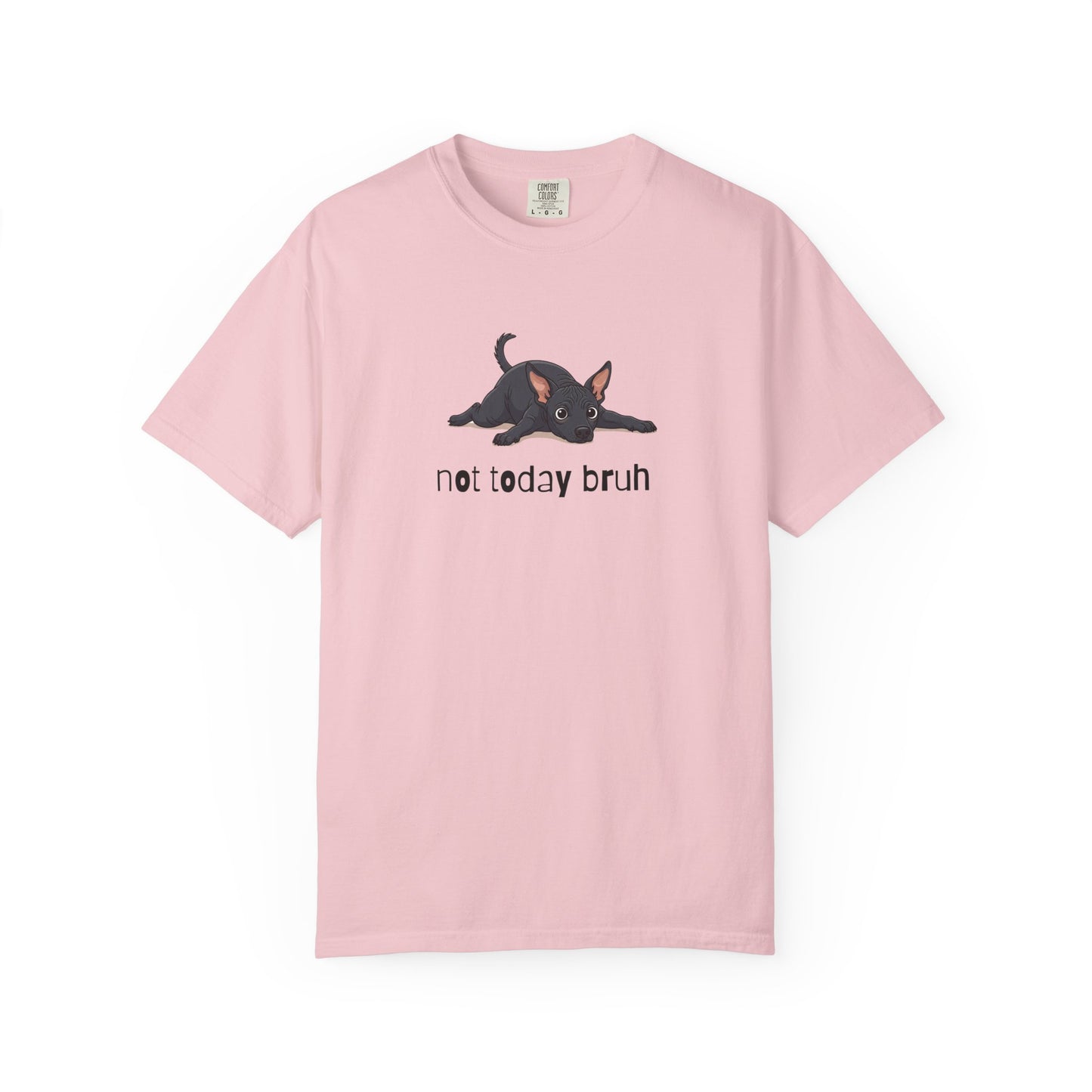 Hairless Dog Not Today Bruh T-Shirt