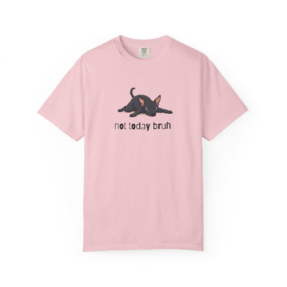 Hairless Dog Not Today Bruh T-Shirt