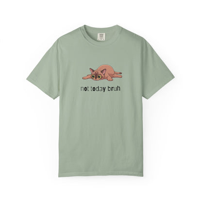 Short hair brown cat Not Today Bruh T-Shirt